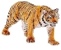 Картинки по запросу "картинки тигра"